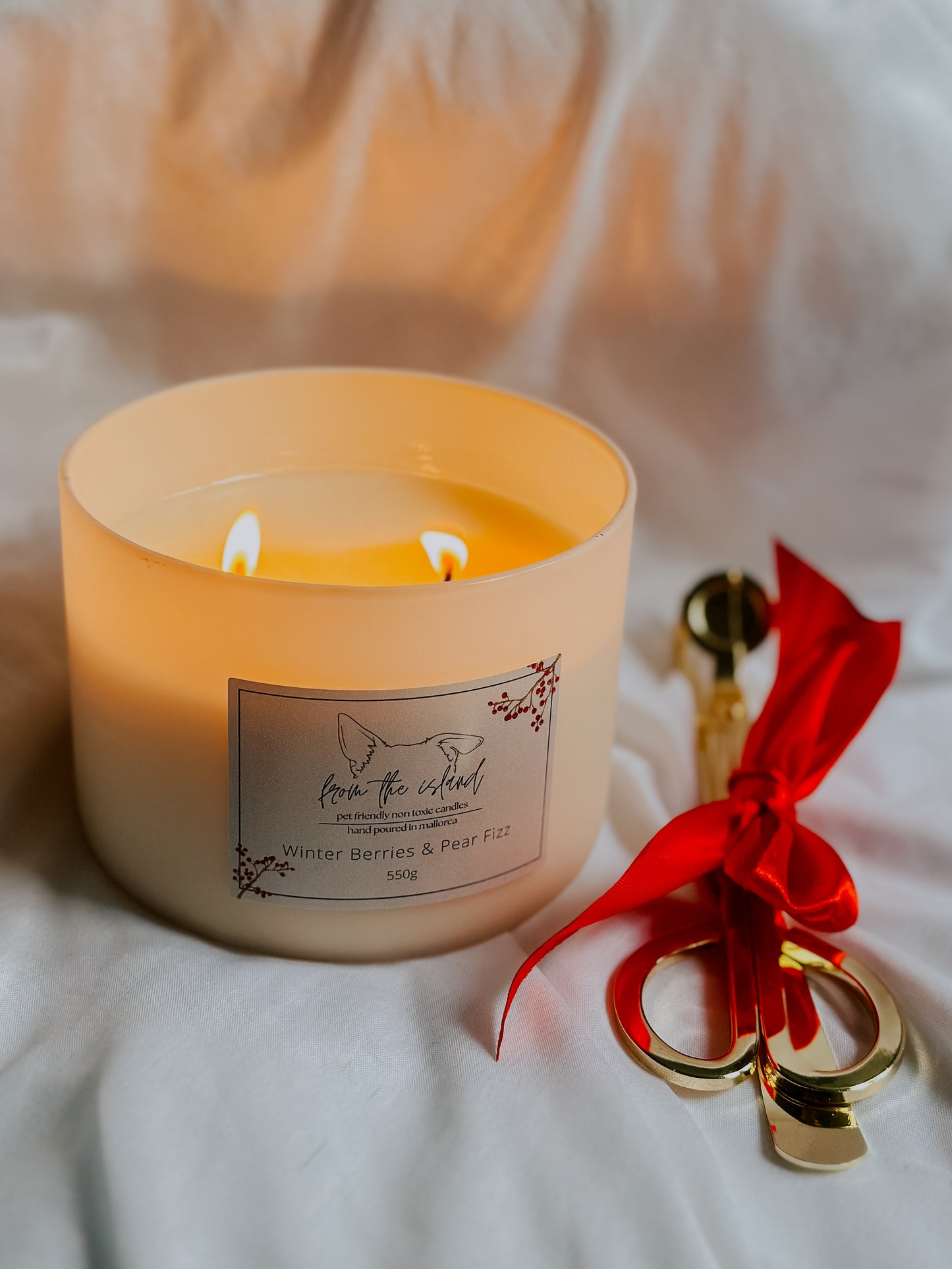 Winter Berries & Pear Fizz 550g