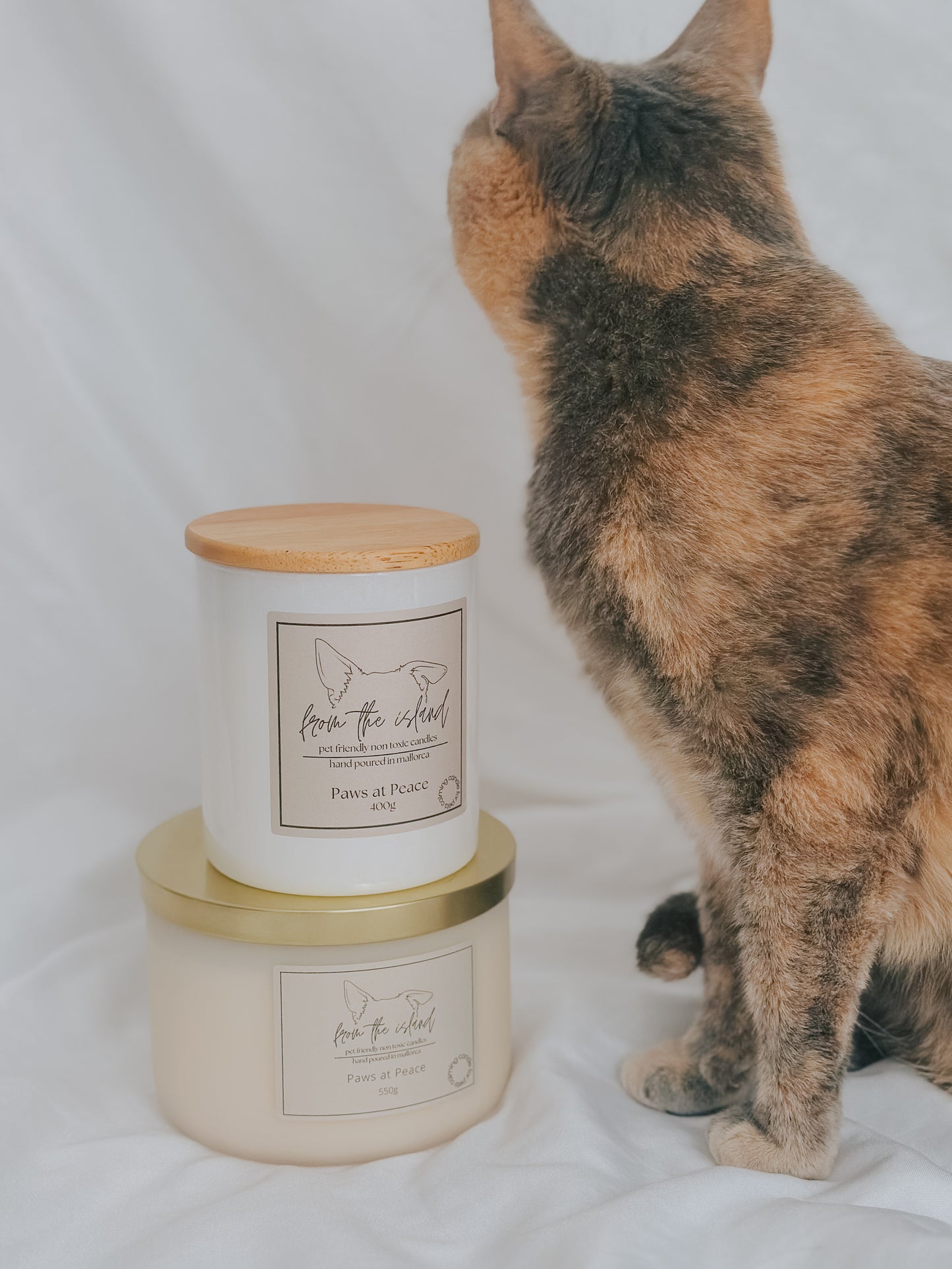 Paws at Peace 550g