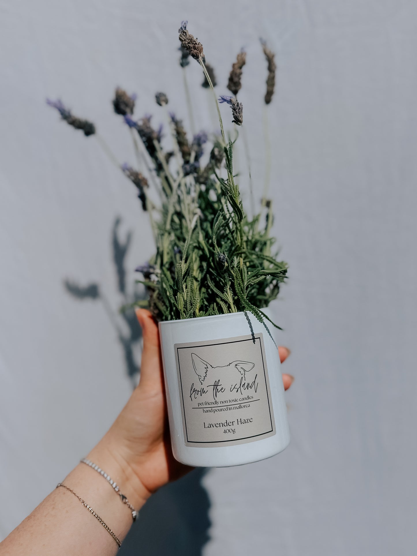 Lavender Haze