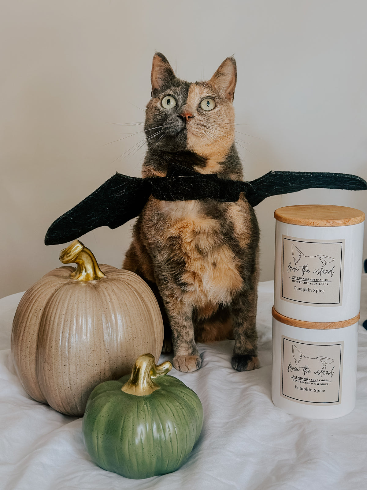 Pumpkin Spice